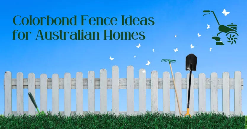Creative and Practical Colorbond Fence Ideas for Australian Homes