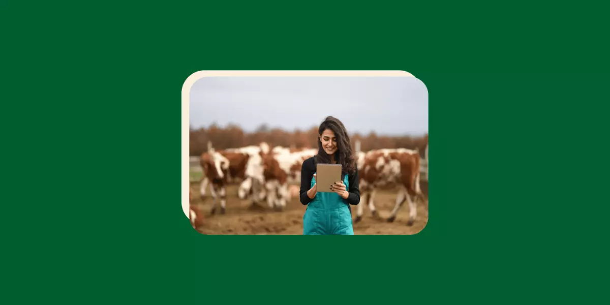 Increase Productivity: How Dairy Farm Management Software Transforms Dairy Farming