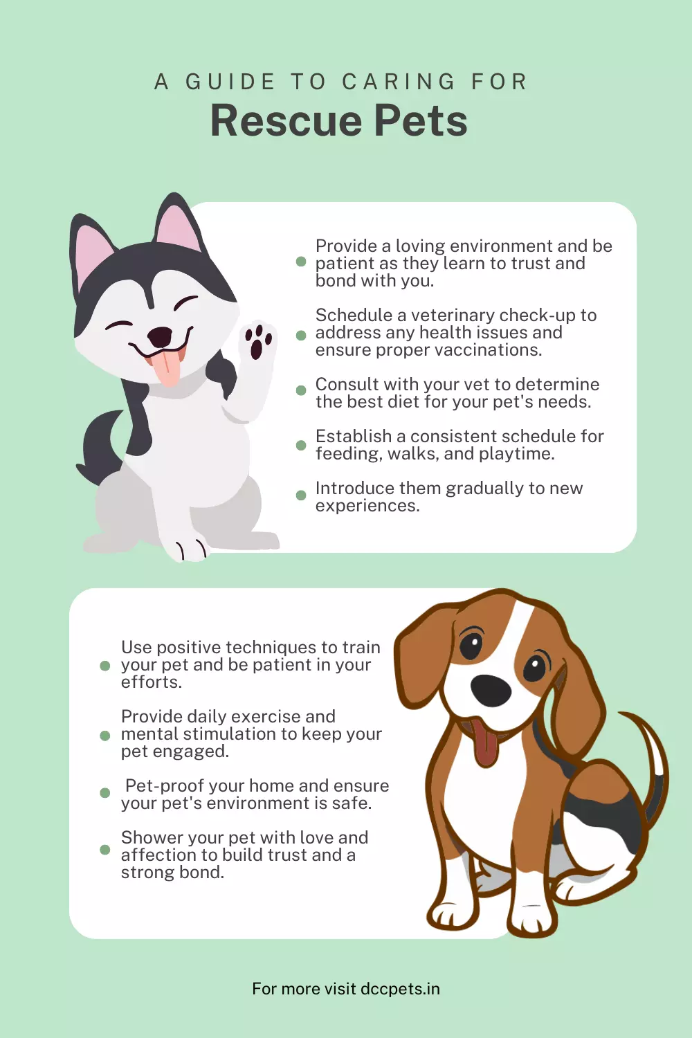 A Guide to Caring for Rescue Pets
