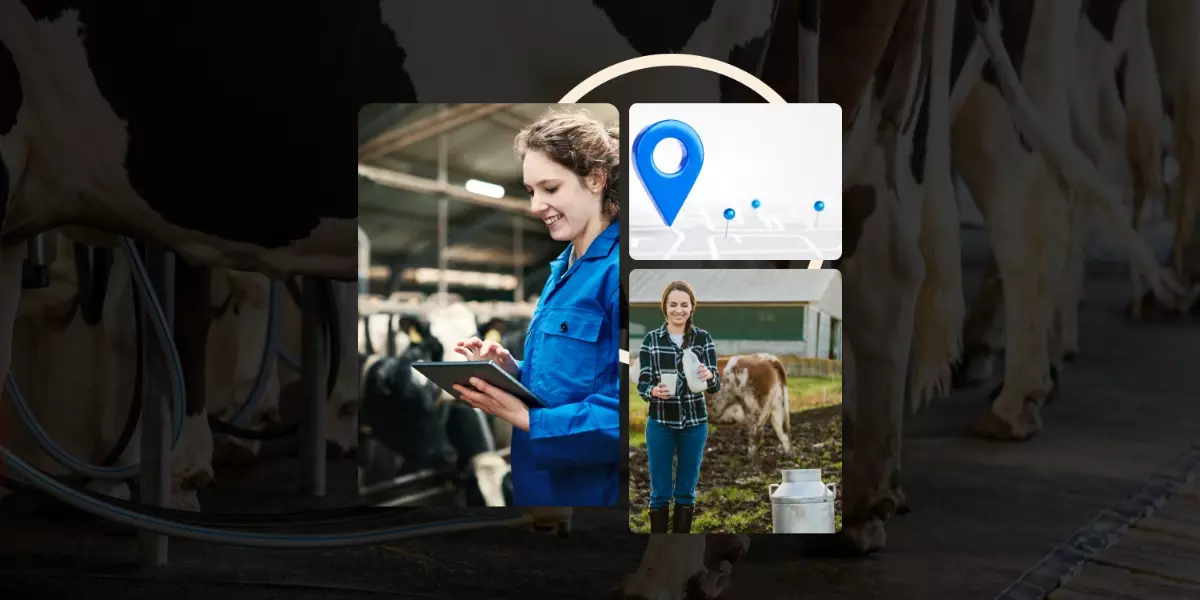 Transforming Dairy Operations: The Complete Guide to Milk Delivery App Development