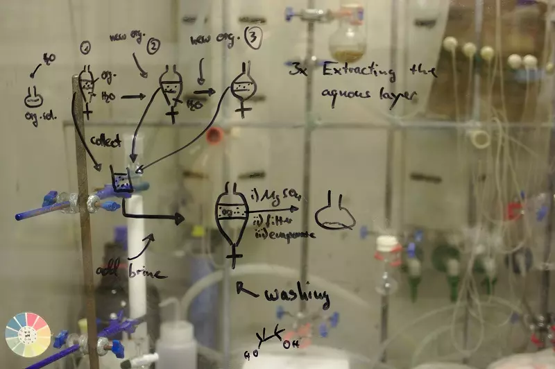 Unveiling Plant Pigments: Detection Methods and Scientific Applications