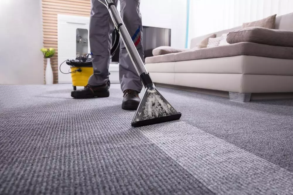 Boost Home Comfort with Professional Carpet Cleaning