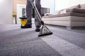 Why Every Household Should Embrace Professional Carpet Cleaning Services