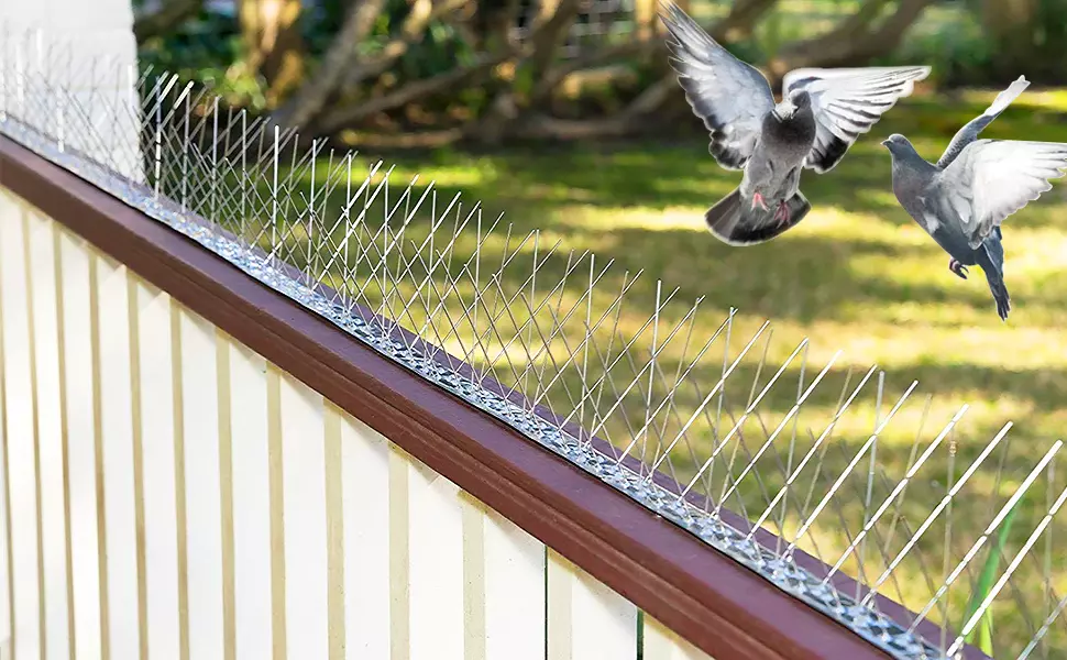 The Most Durable Bird Spikes for Dubai’s Tough Climate